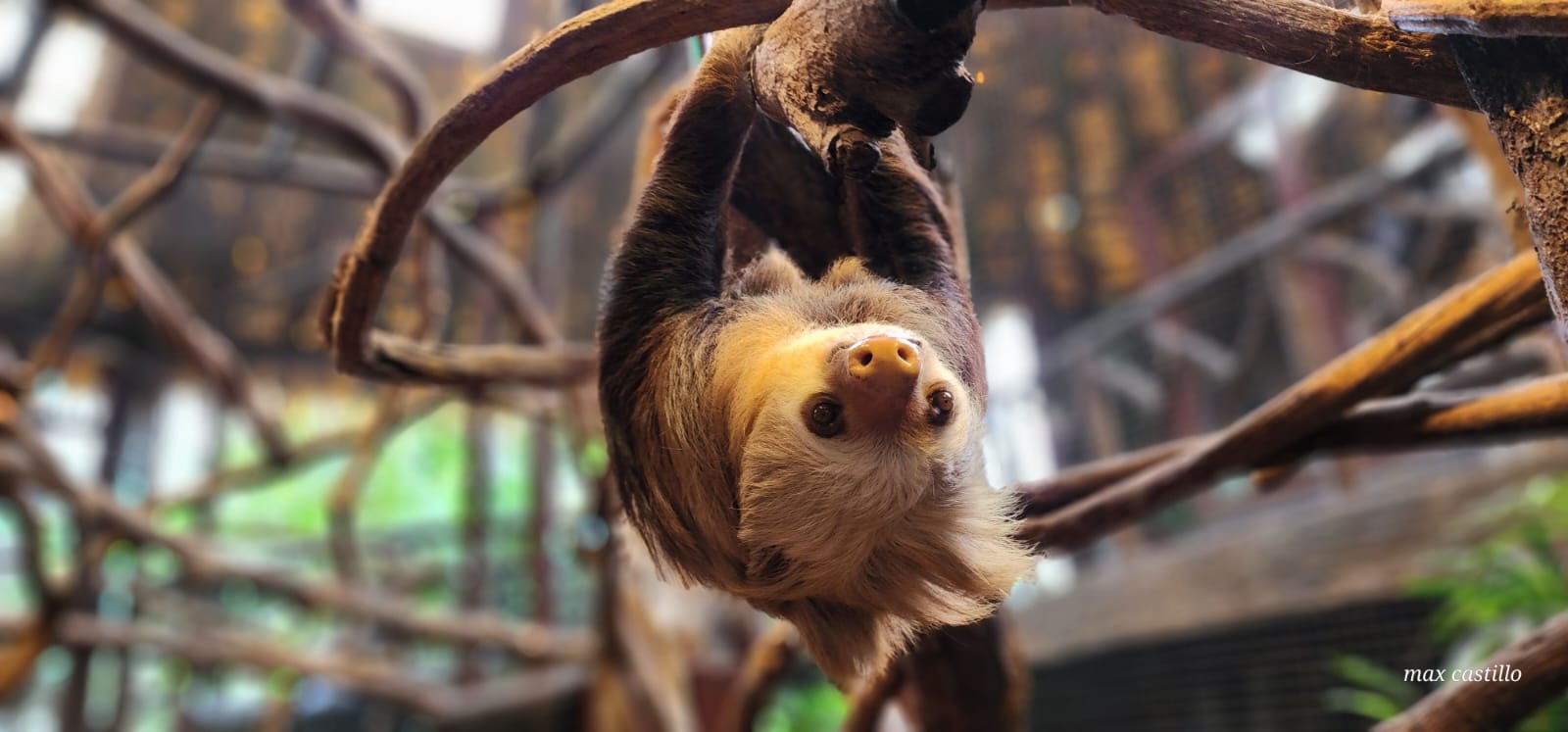 Summer Travel Costa Rica