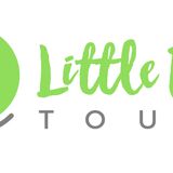 Little Fish Tours