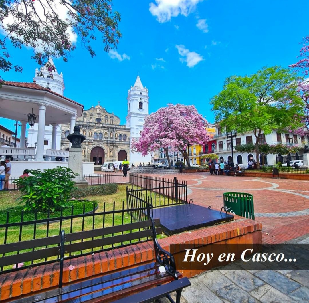 BarefootPanama Tours S.A.