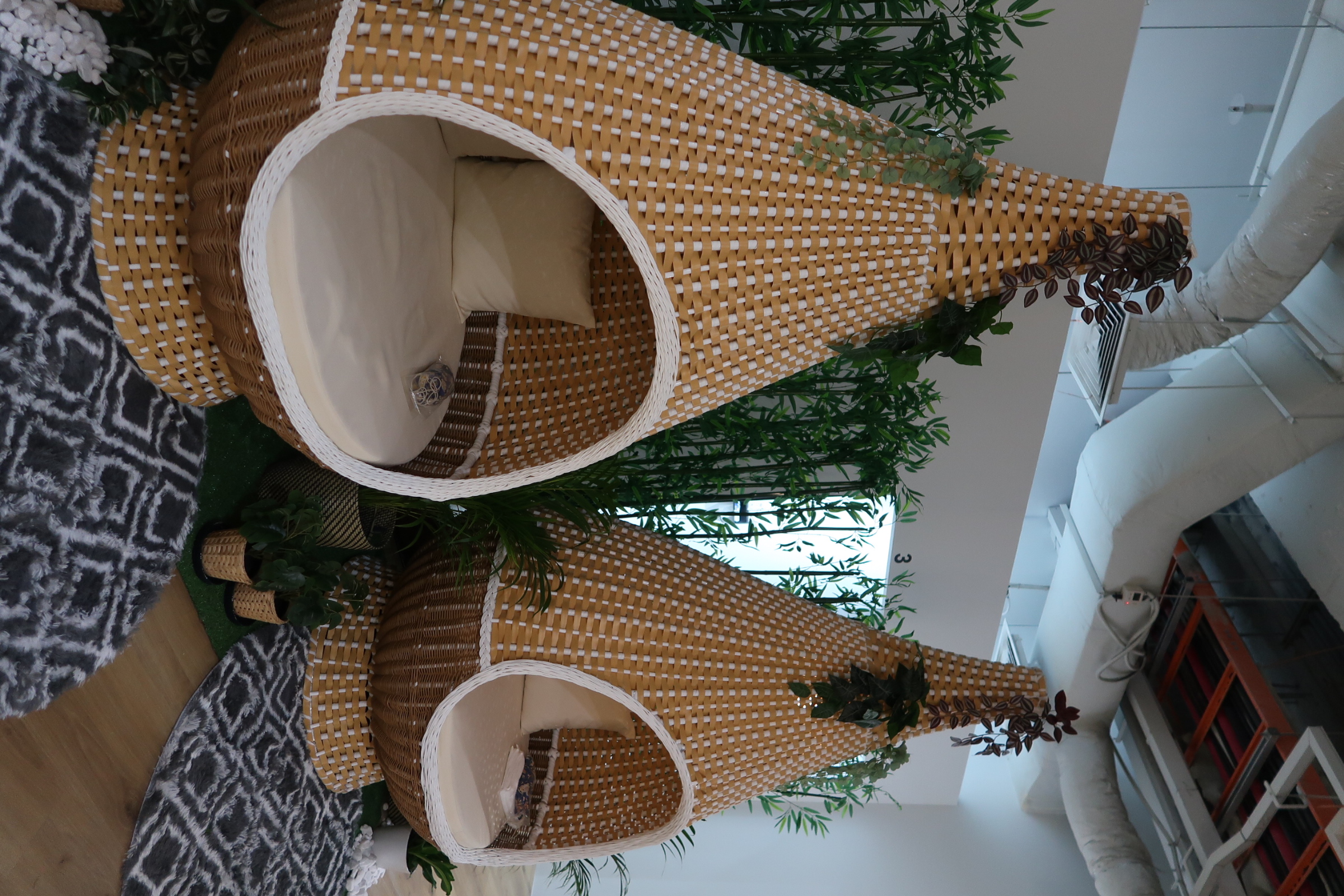 Ojas Yoga and Wellness