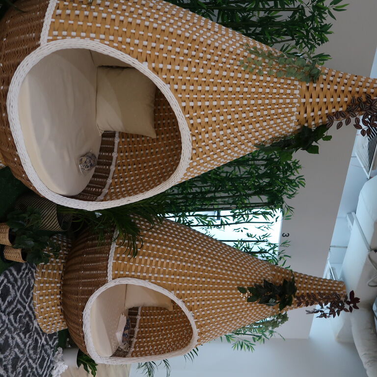 Ojas Yoga and Wellness
