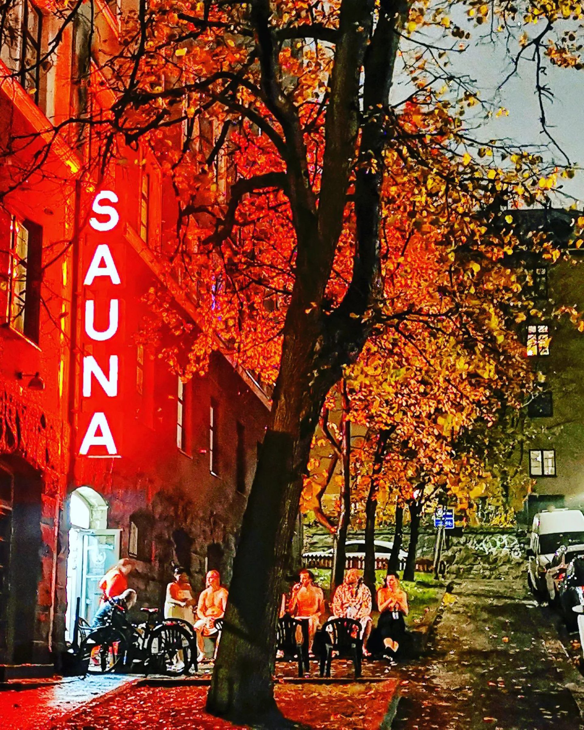 Seagull Travel
