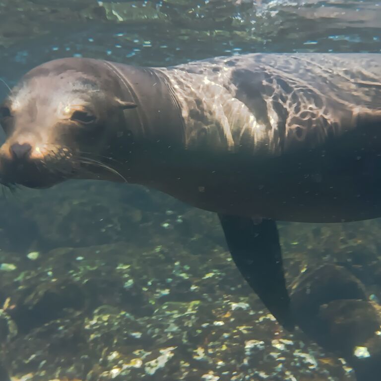 Galapagos and Guayaquil Visit