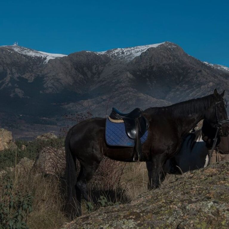 Horse Riding Madrid