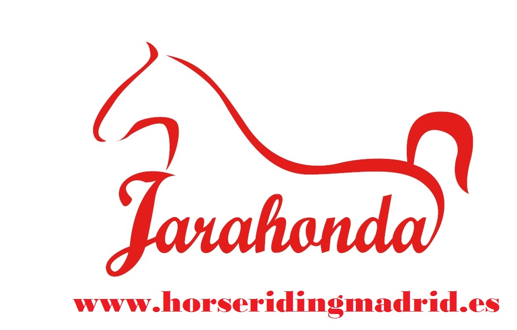 Horse Riding Madrid
