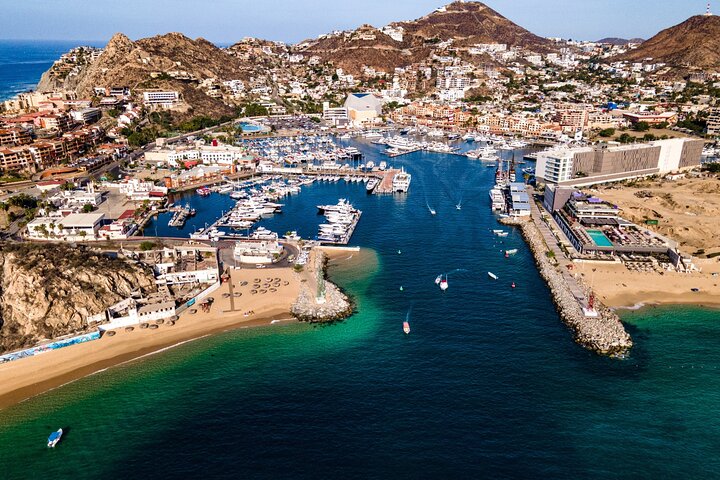 Whale Watching in Cabo: 2-Hour Small Group Tour to The Arch