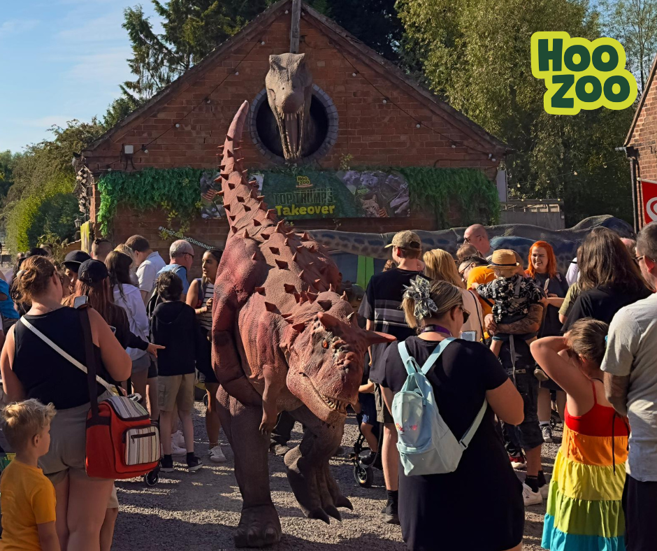 Hoo Zoo and Dinosaur World