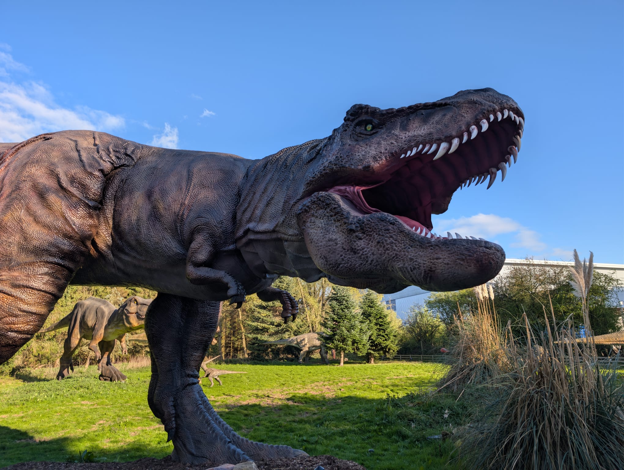 Hoo Zoo and Dinosaur World