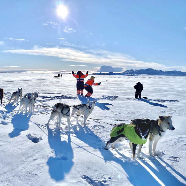 Dogsledding Iceland