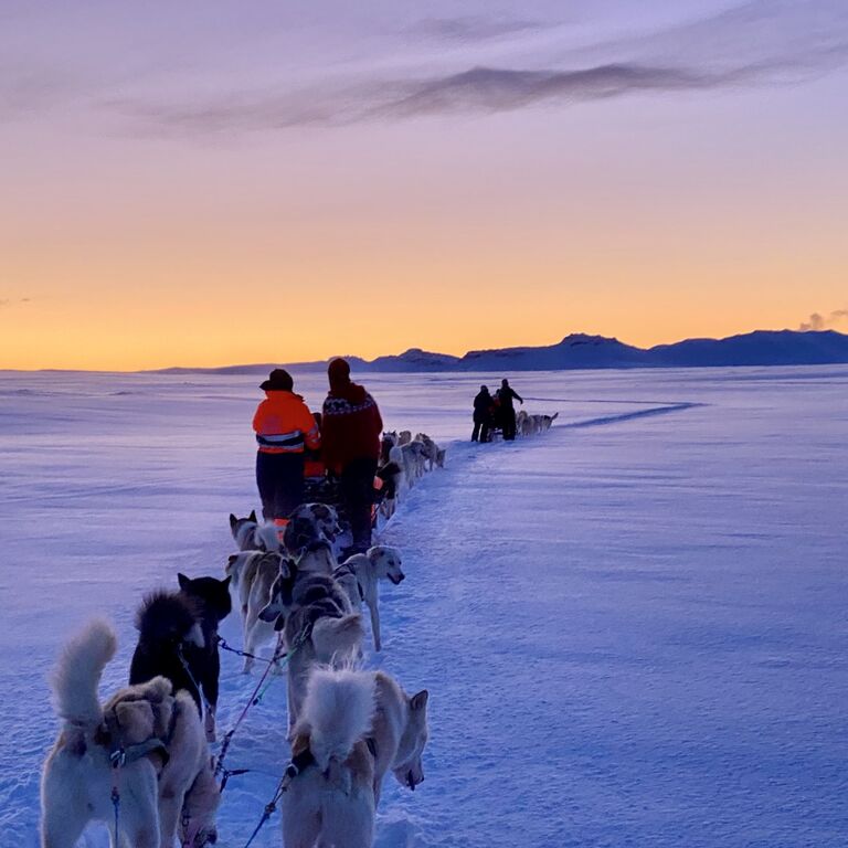 Dogsledding Iceland
