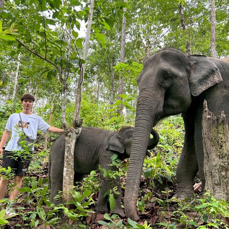 Doi Inthanon Elephant Sanctuary Park