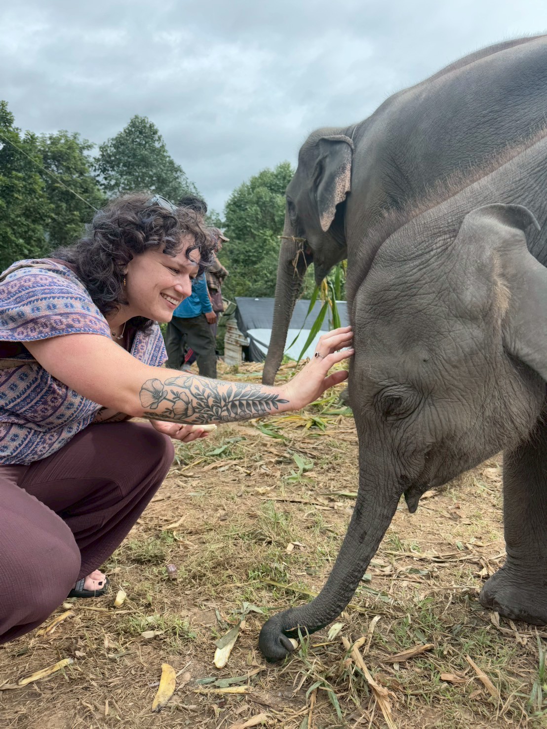 Doi Inthanon Elephant Sanctuary Park
