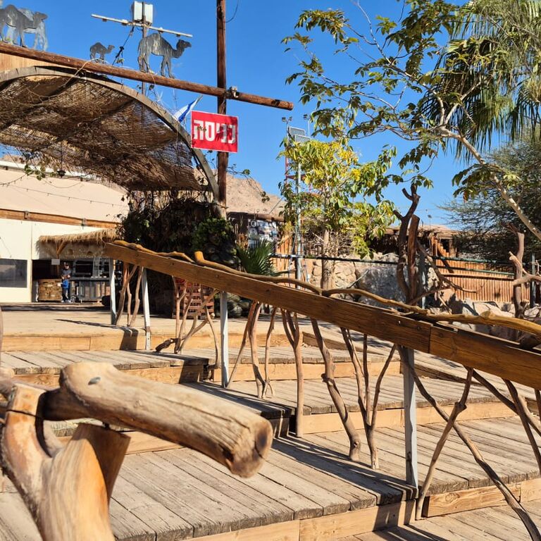 Camel-Ranch Eilat