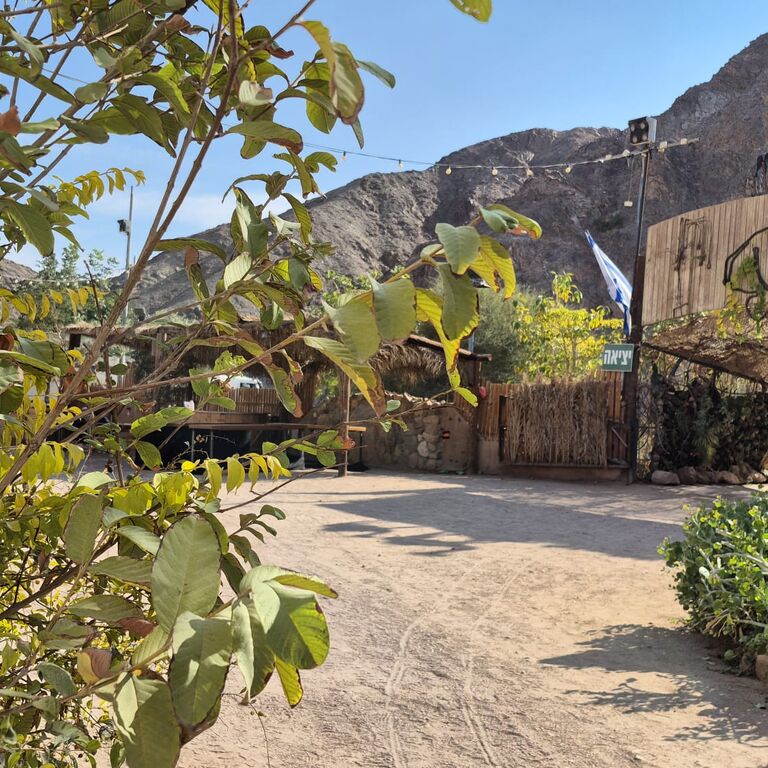 Camel-Ranch Eilat