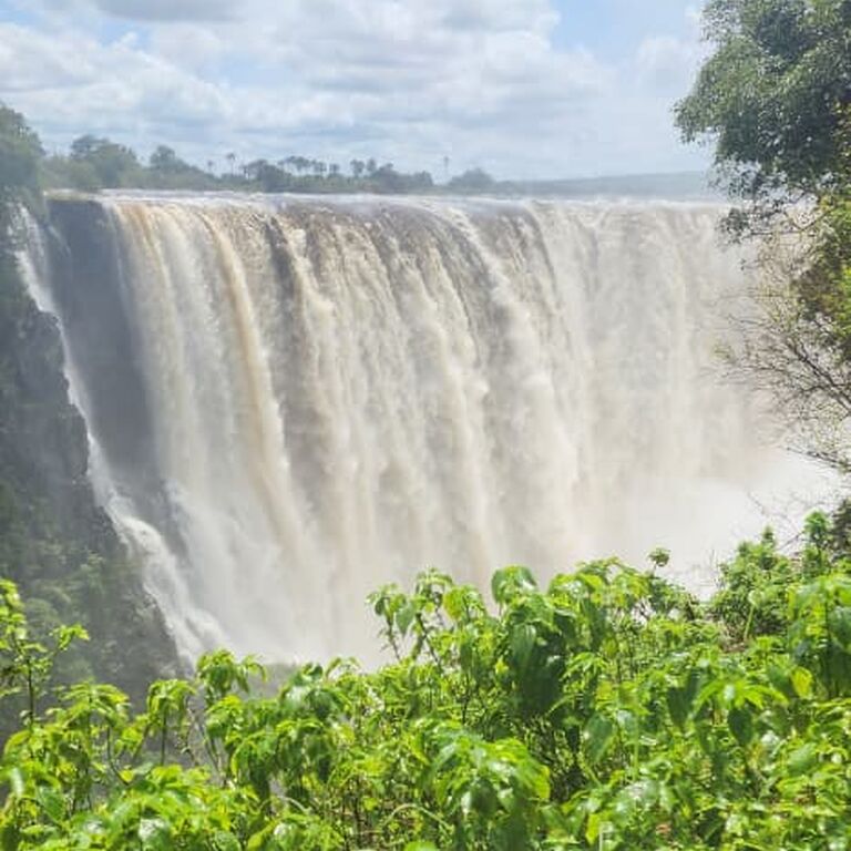 BUSH WILDERNESS SAFARIS