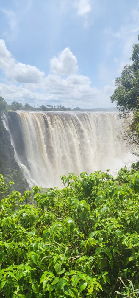 BUSH WILDERNESS SAFARIS
