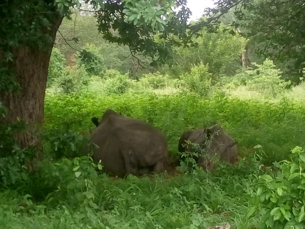 Ayoba Adventures Safaris And Tours Limited