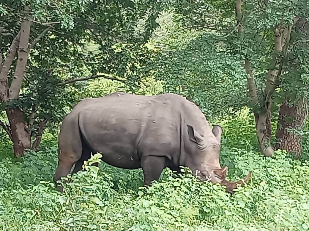 Ayoba Adventures Safaris And Tours Limited