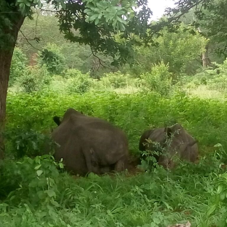Ayoba Adventures Safaris And Tours Limited