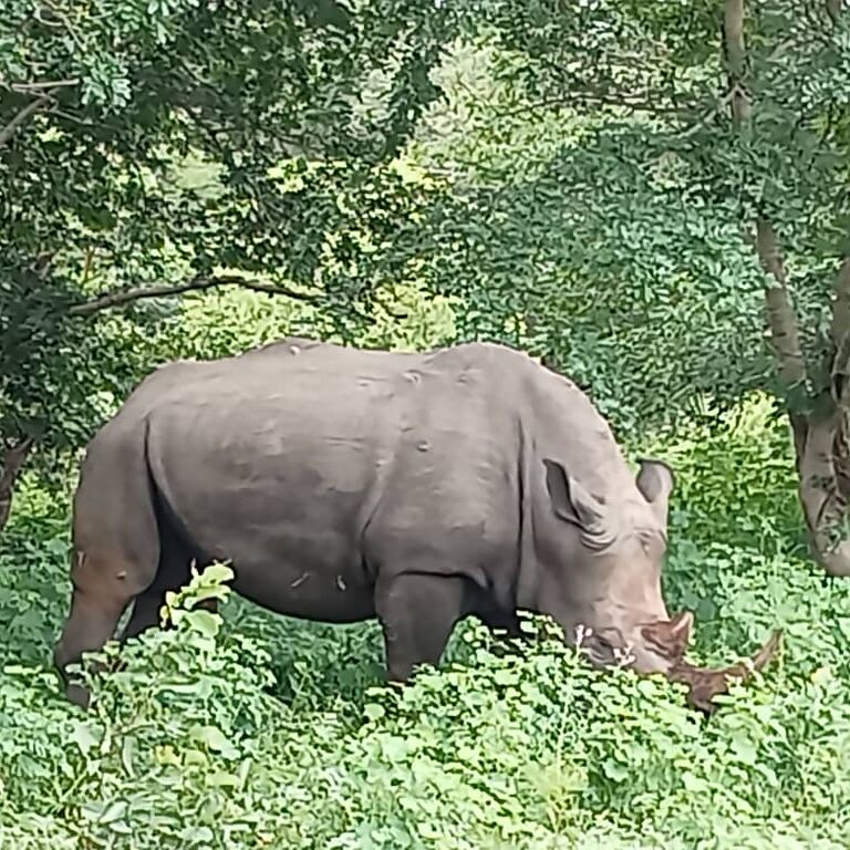 Ayoba Adventures Safaris And Tours Limited