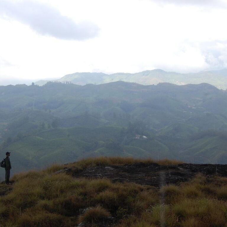 Amazing Munnar Adventure Tourism