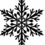 Snowflake Limousine