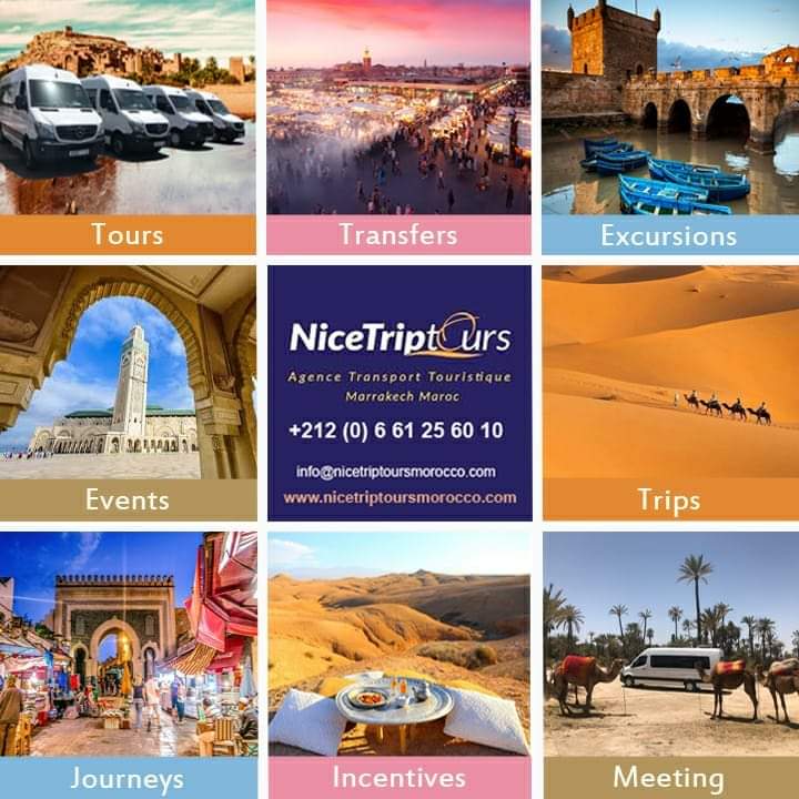 NICE TRIP TOURS