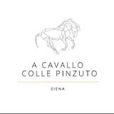 Horseback Riding In Tuscany Countyside