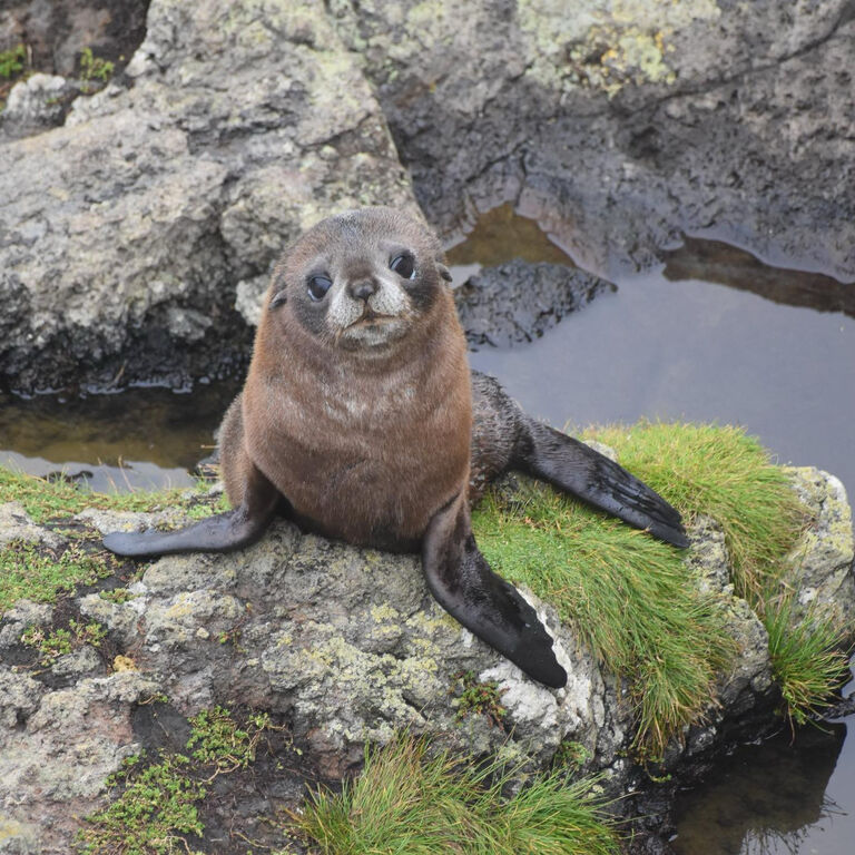 Clearwater Wildlife Tours