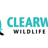 Clearwater Wildlife Tours