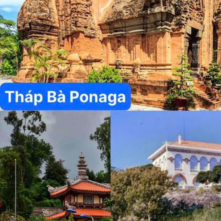 Công ty TNHH Hoàng Hằng Travel