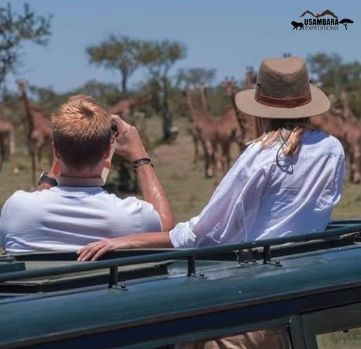 Usambara Trails Expedition Ltd