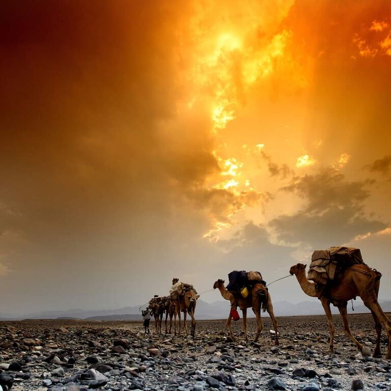 Zagol Ethiopia Tours