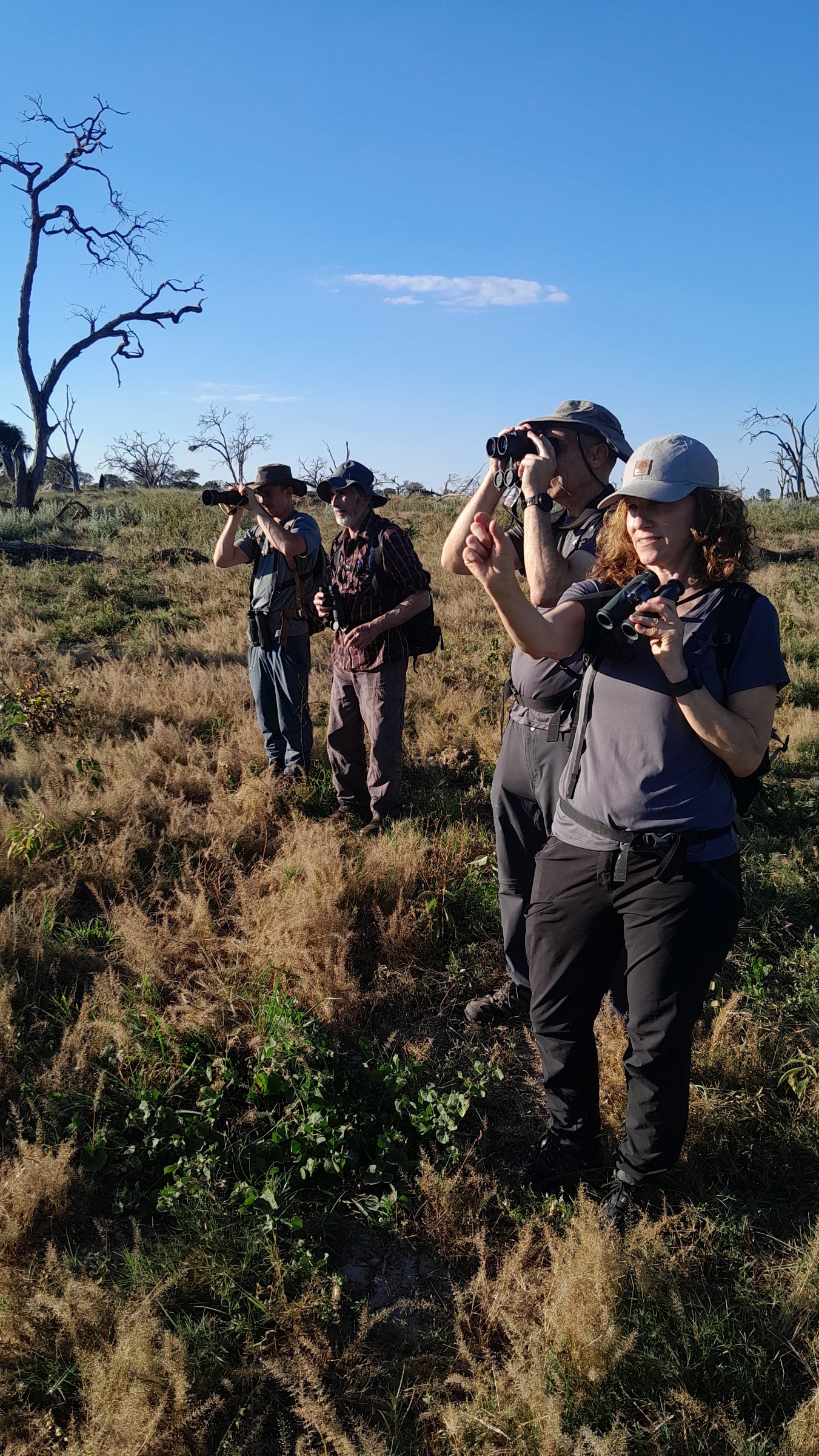 Sense Of Nature Safaris