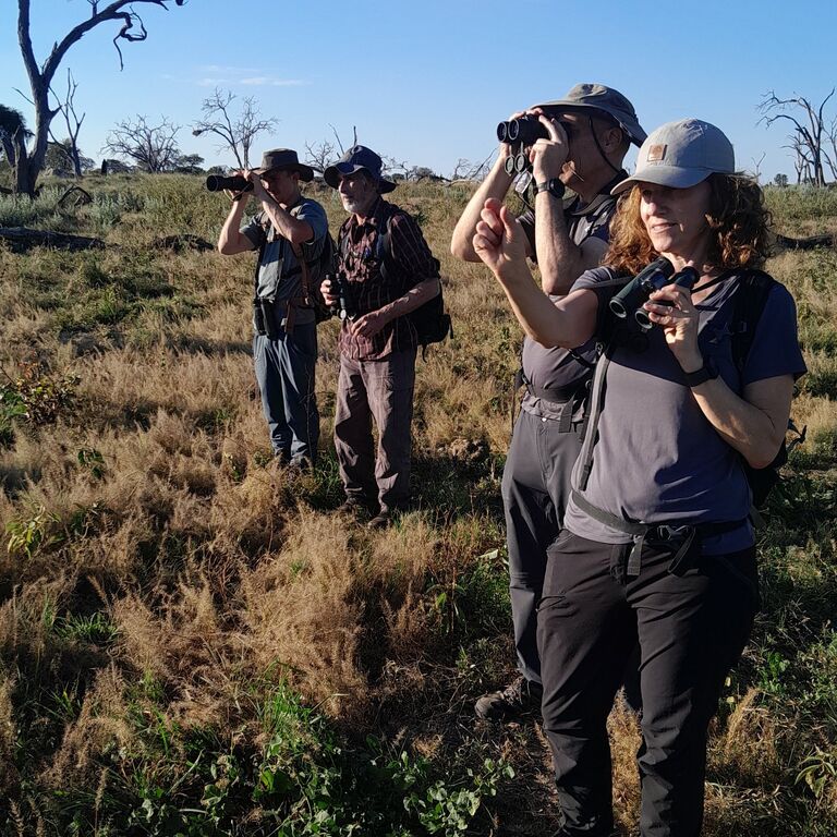 Sense Of Nature Safaris