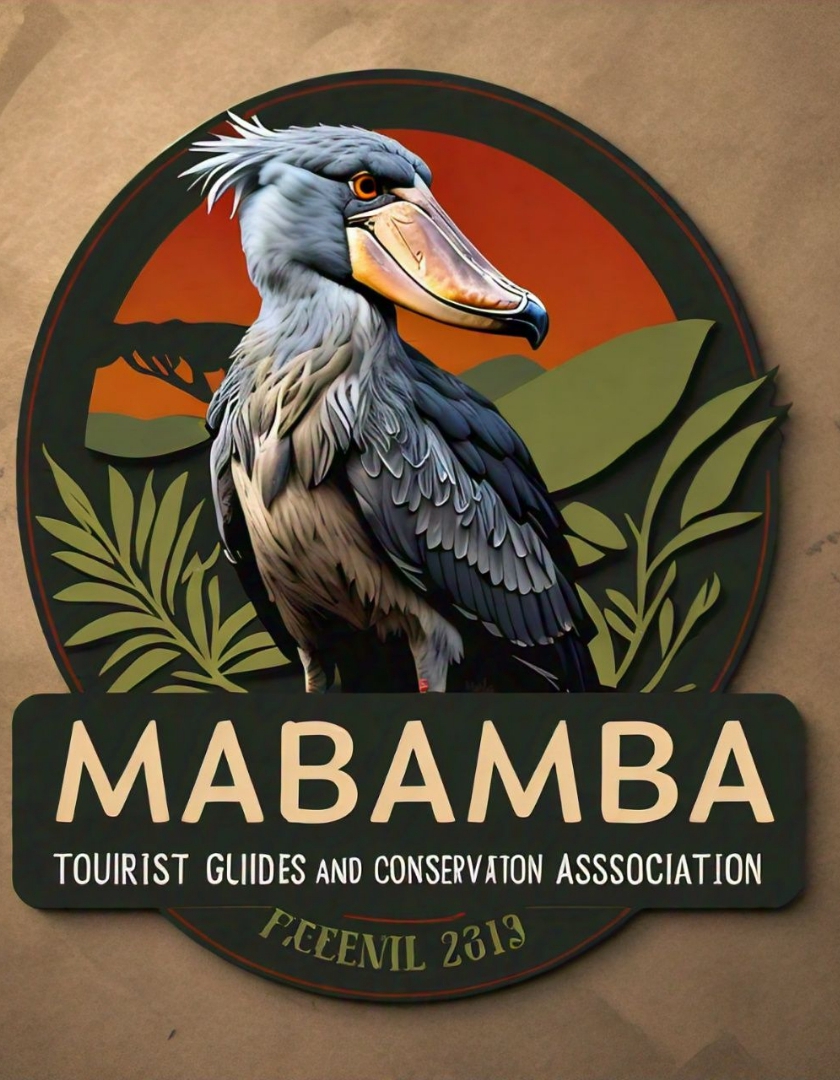 SHOEBILL TOURS MABAMBA SWAMP