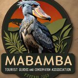 SHOEBILL TOURS MABAMBA SWAMP