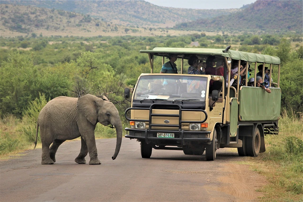 Kasi Africa Safari & Tours