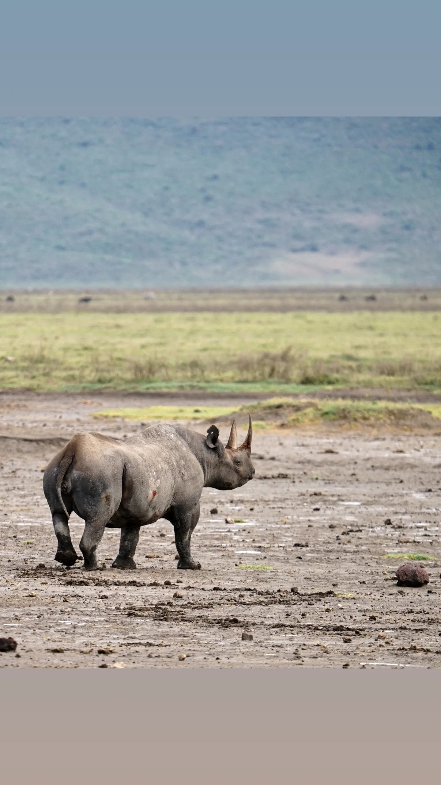 Overland Signature Safari - Central Serengeti & Ngorongoro