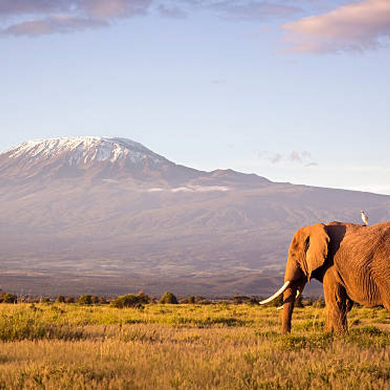 Africa’s Delight Kenya’s Adventure Ltd