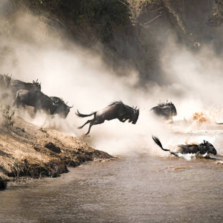 Africa’s Delight Kenya’s Adventure Ltd