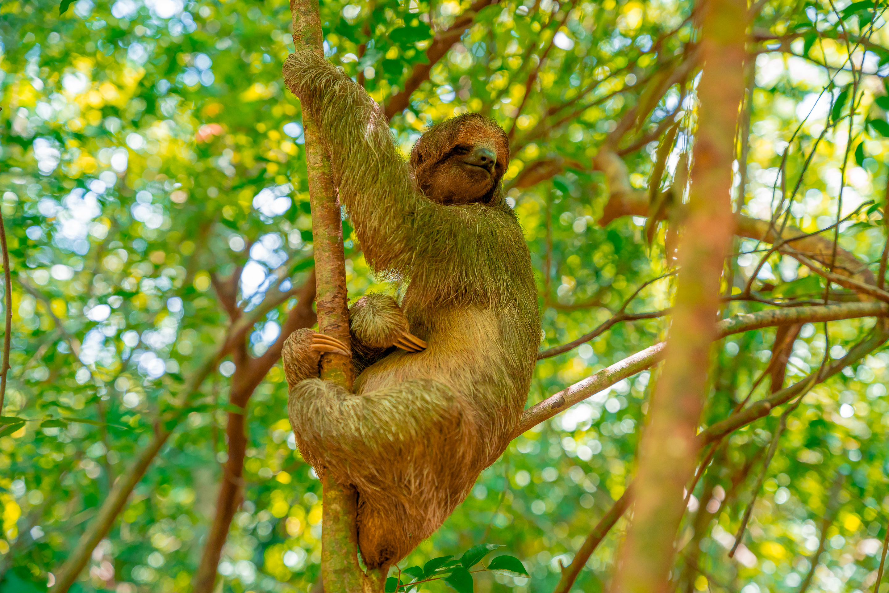 Roatan Exclusive Tours