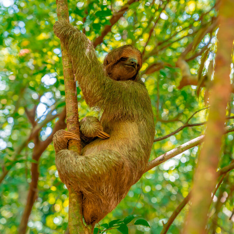 Roatan Exclusive Tours