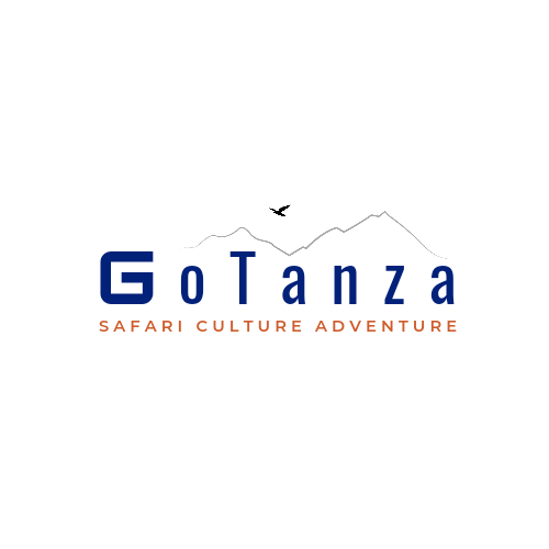 Gotanza Tours and Travel