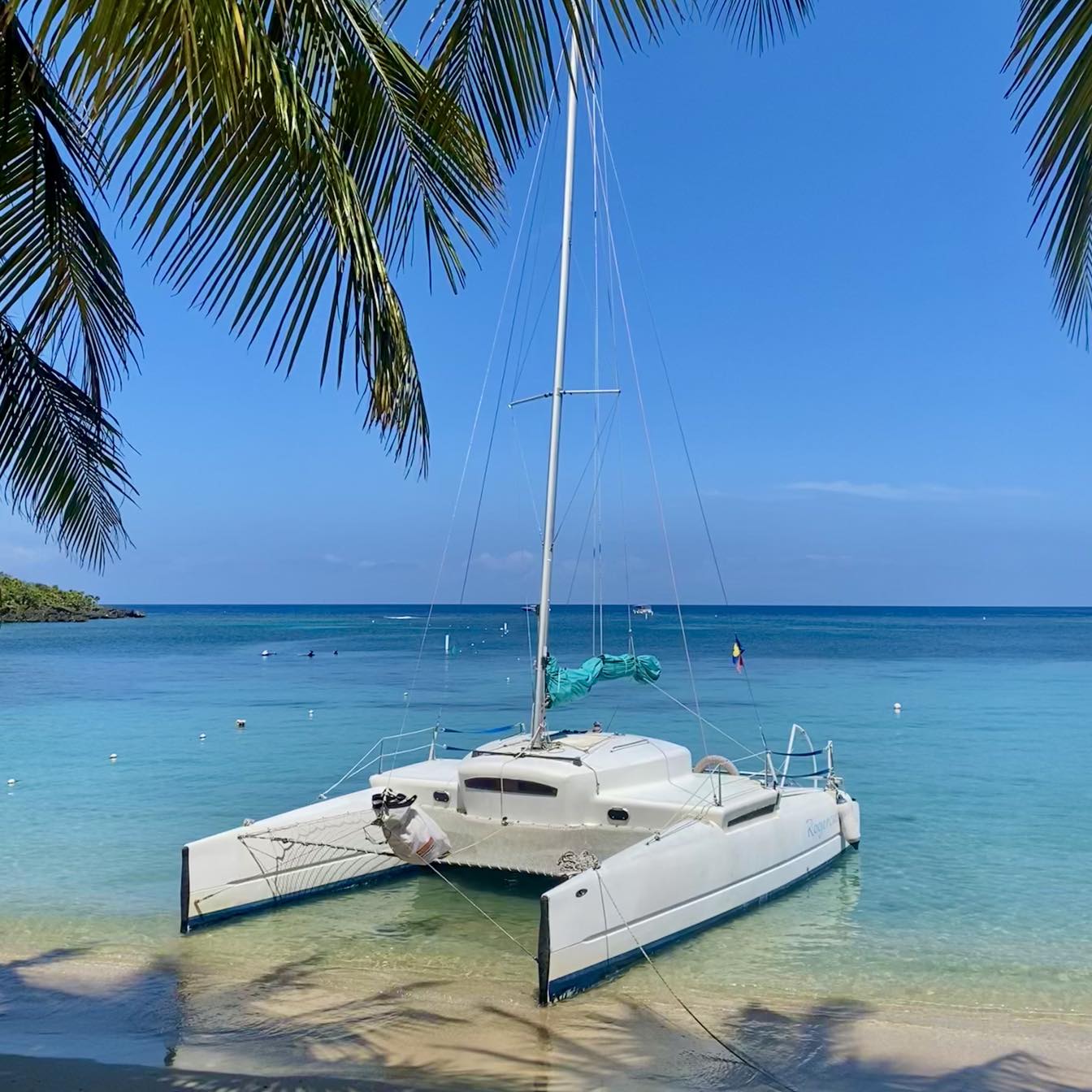 Rogercat Cruises - Catamaran tours