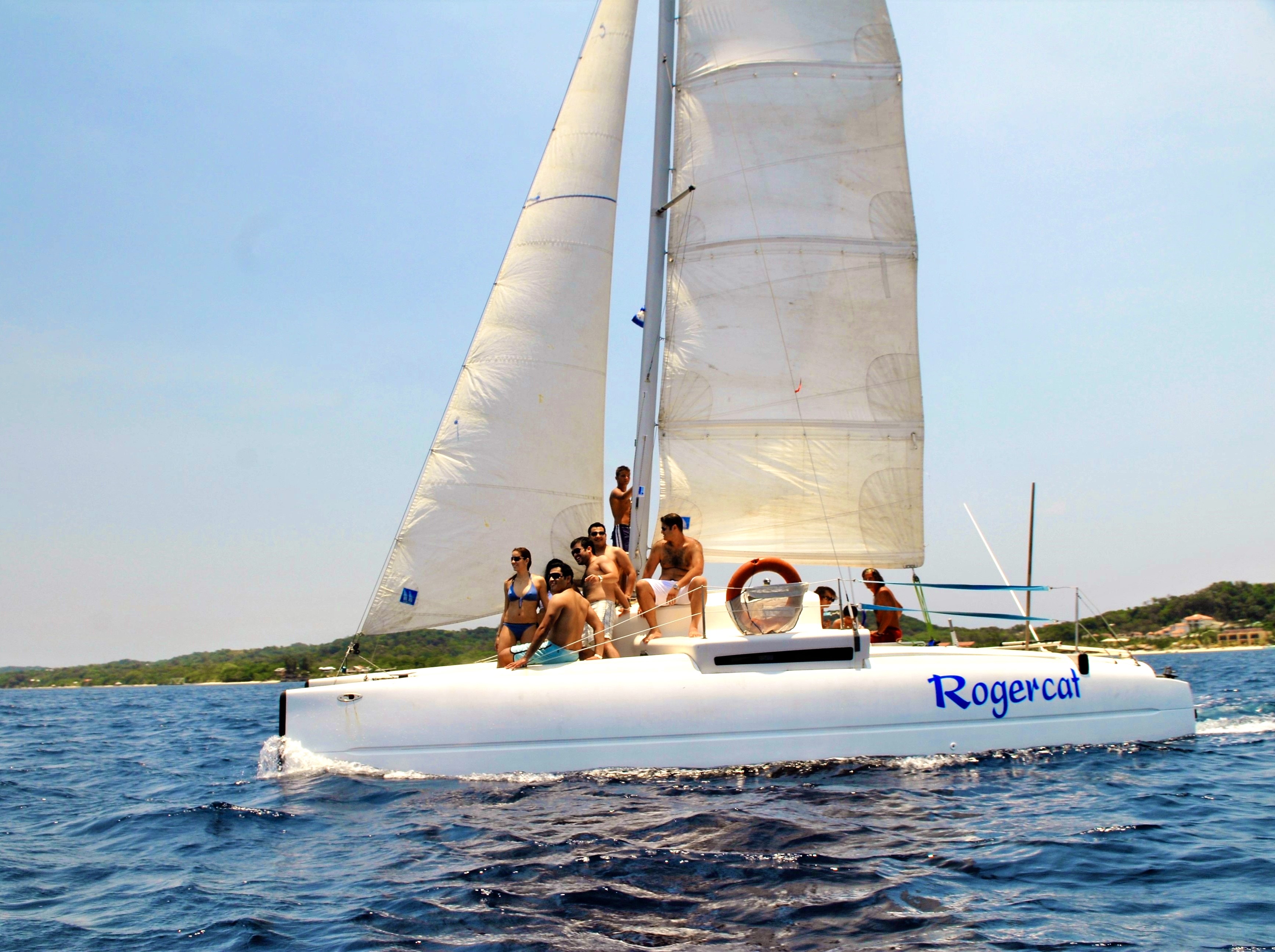 Rogercat Cruises - Catamaran tours