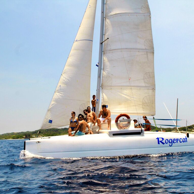 Rogercat Cruises - Catamaran tours