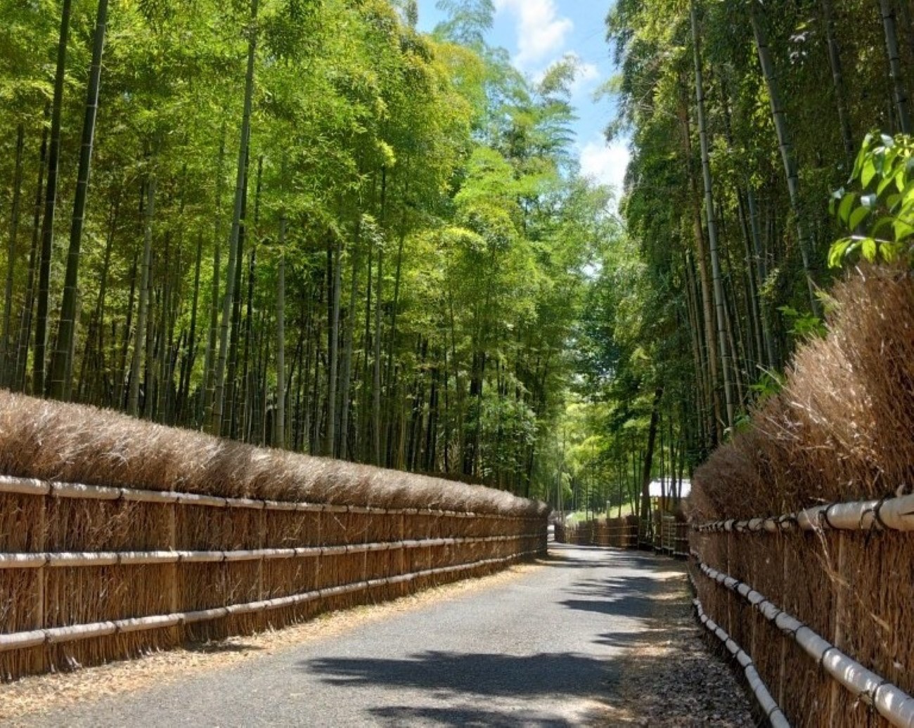 Kyoto Arashiyama hidden tour