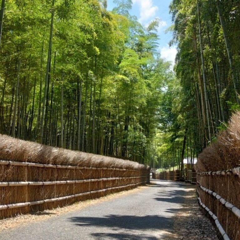 Kyoto Arashiyama hidden tour