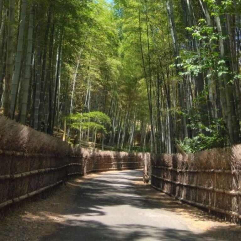 Kyoto Arashiyama hidden tour